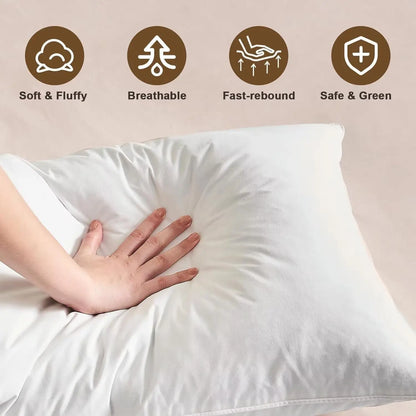 Goose Down Feather Pillows Soft & Fluffy