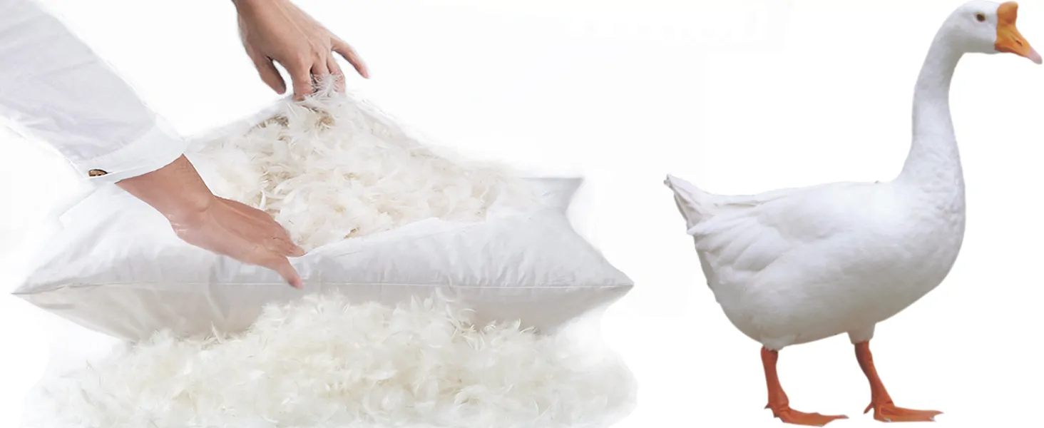 Goose Down Feather Pillows banner 4