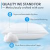 Skin-Friendly Queen Size Bed Pillows Set of 2 - Premium Down Alternative Cooling Pillows Soft Microfiber